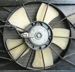 Radiator fan motor