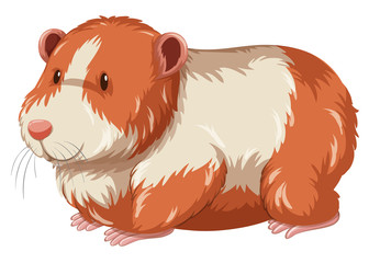 Furry hamster with happy face