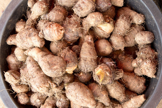 yam