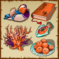 Chinese duck, book, tangerine and coral, 5 images