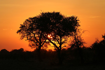 Afrikanischer Sonnenuntergang