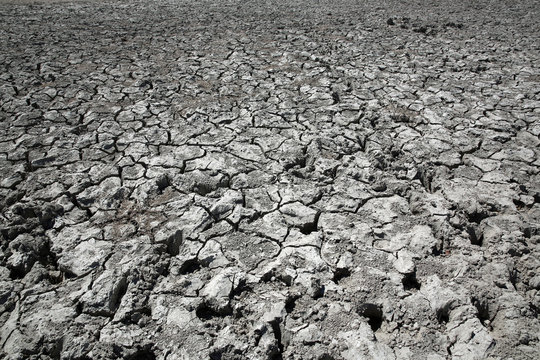 Dürre in Botswana. Afrika