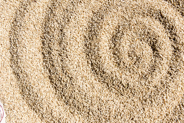 a lot of black beans for background uses