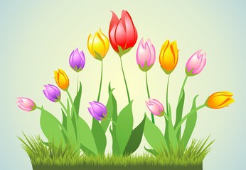 Wiosenne tulipany i trawa, 