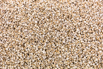Job's tears, Millet grains, Organic.