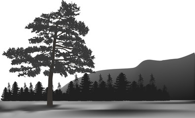 dark grey illustration with mountain forest