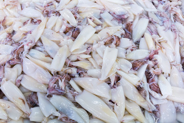 Fresh squid for sale on the market.