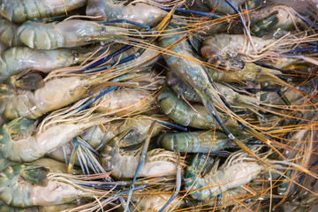 Raw shrimps for sale on the market