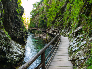 Wooden path in Vintgar gorge