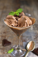 Homemade chocolate ice cream with chocolate chips.