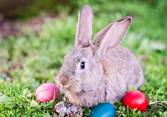 Easter rabbit and painted Easter eggs around him  