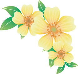 클립아트 일러스트