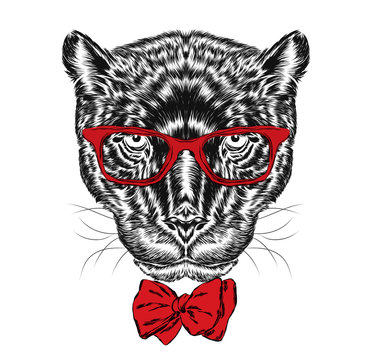 Black Panther in glasses and tie . Panther vector . Print . Hipster. Postcard Panther .

