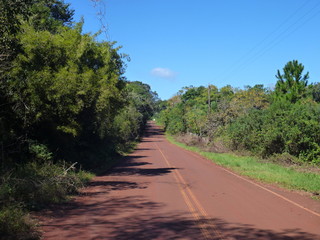 red asphalted road in the jungle