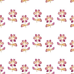 Seamless pattern with flowers of dried petals on white background