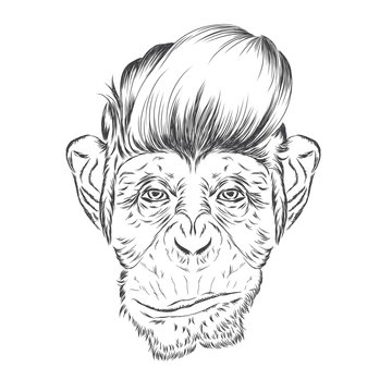 Monkey painted in the vector. Cute monkey. Hipster. Postcard with a monkey. Poster. Print.