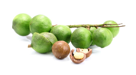 macadamia nuts on white background