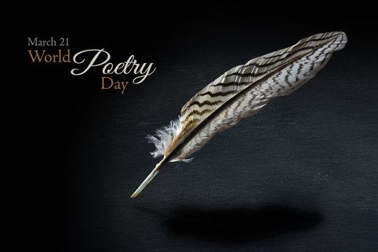 World Poetry Day with a black and white patterned feather over a dark background, sample text