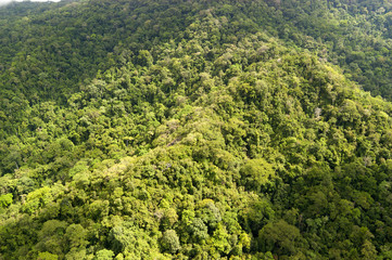 Mountains covered with wild tropical forest