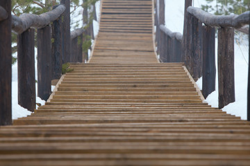 Fototapeta premium The track is made of wood in the forest