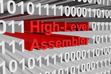 High Level Assembler is presented in the form of binary code