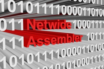 Netwide Assembler is presented in the form of binary code