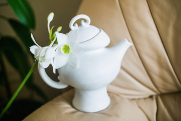 Retro Teapot on Background