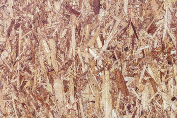Texture of nature wood background closeup for design