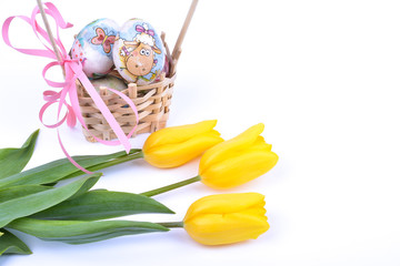 Easter eggs in a basket and yellow tulips on white