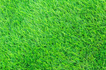 Top view of artificial green grass texture.