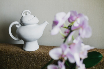 Beautiful Orchid flower