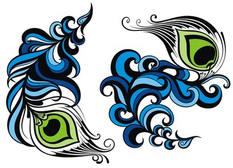 Feathers.Peacock feathers collection