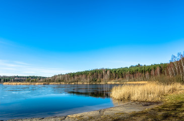 Beautiful landscape of lake and forest in early spring...