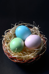 Obraz premium Easter eggs in nest