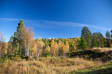 Fototapeta premium Norway Nature Scandinavian North Travel Landscapes