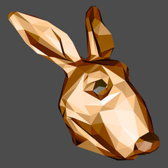 Kangaroo © Julien Tromeur