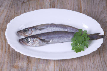 whiting and mackerel on plate