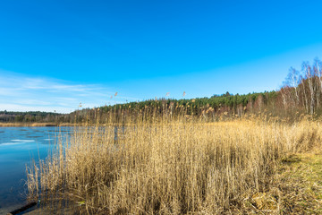 Beautiful lake landscape.