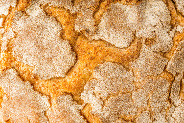 Roasted crust of rye bread