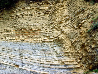 Cliff face showing flysch layre strata