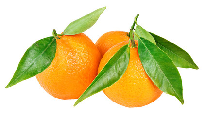 Oranges with leaves