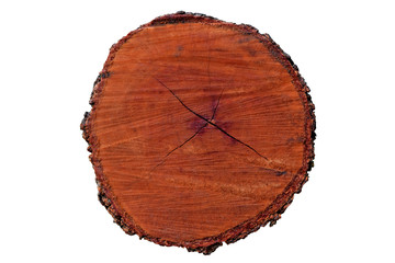 Tree annual ring circle wood Die cutting