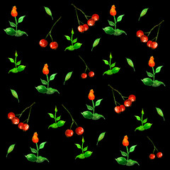 The pattern of flowers, berries and leaves on a black background in watercolor 