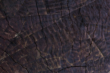 grunge old wooden texture