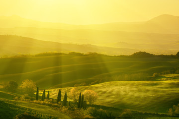 Wavy fields in Tuscany at sunrise, Italy. Natural outdoor seasonal spring background.