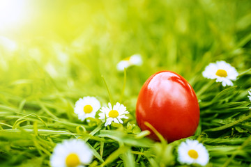Red easter egg