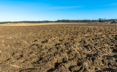 Early spring landscape with plowed field