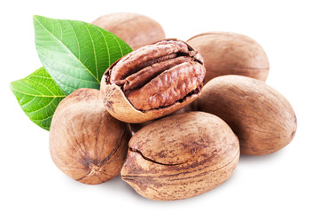 Pecan nuts isolated on a white background.