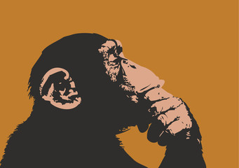 Fototapeta premium Małpa