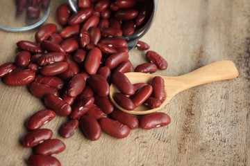 seed red beans